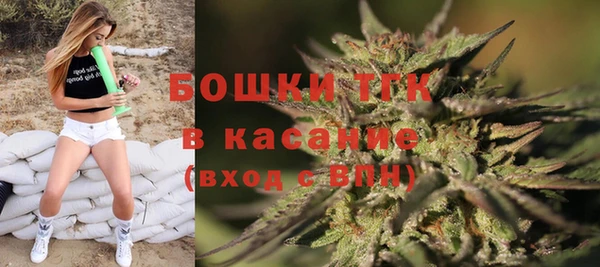 PSILOCYBIN Армянск