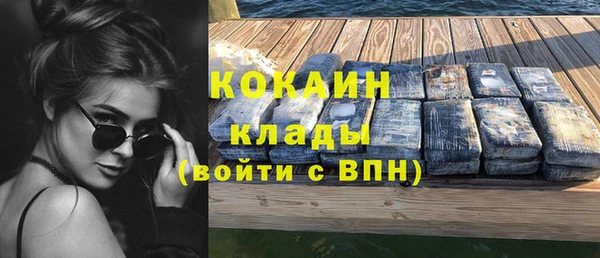 ГАЛЛЮЦИНОГЕННЫЕ ГРИБЫ Аркадак
