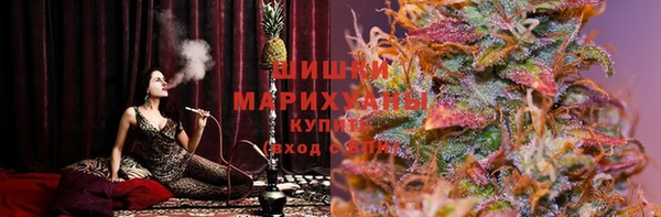 ГАЛЛЮЦИНОГЕННЫЕ ГРИБЫ Аркадак