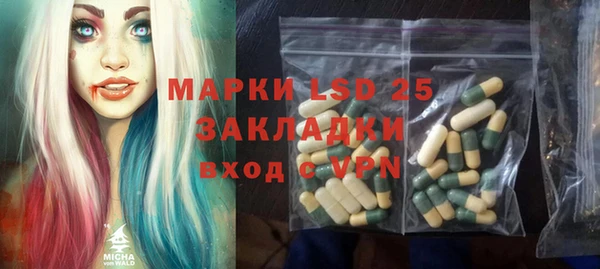 ГАЛЛЮЦИНОГЕННЫЕ ГРИБЫ Аркадак