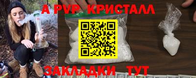 крисы Гай