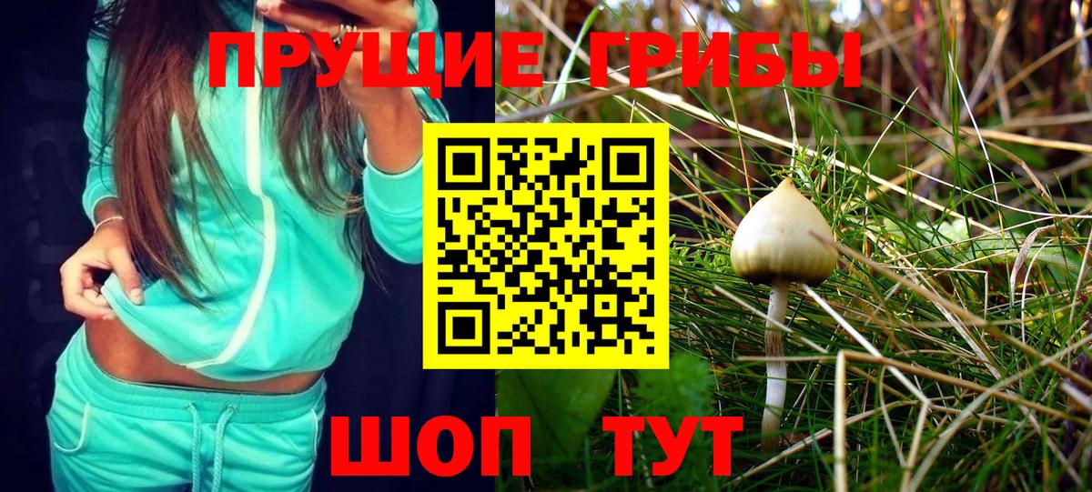 Галлюциногенные грибы Cubensis Белорецк