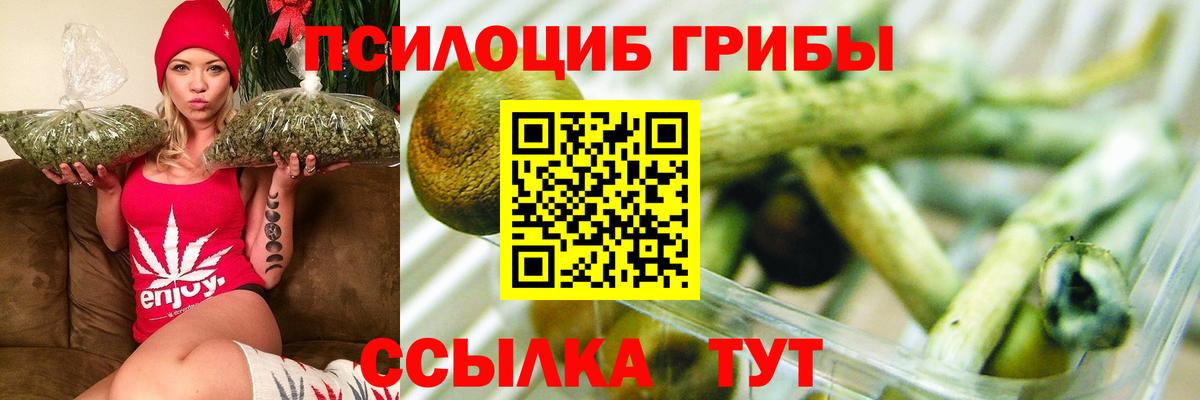 Псилоцибиновые грибы Magic Shrooms  Вход с VPN  Белорецк  Псилоцибиновые грибы прущие грибы 
